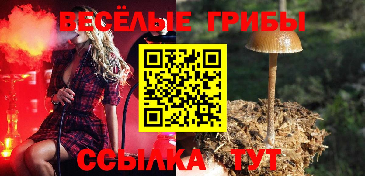 Белогорск  Псилоцибиновые грибы мухоморы  Вход с VPN  Псилоцибиновые грибы GOLDEN TEACHER 